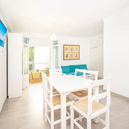 Falco Port de Pollença