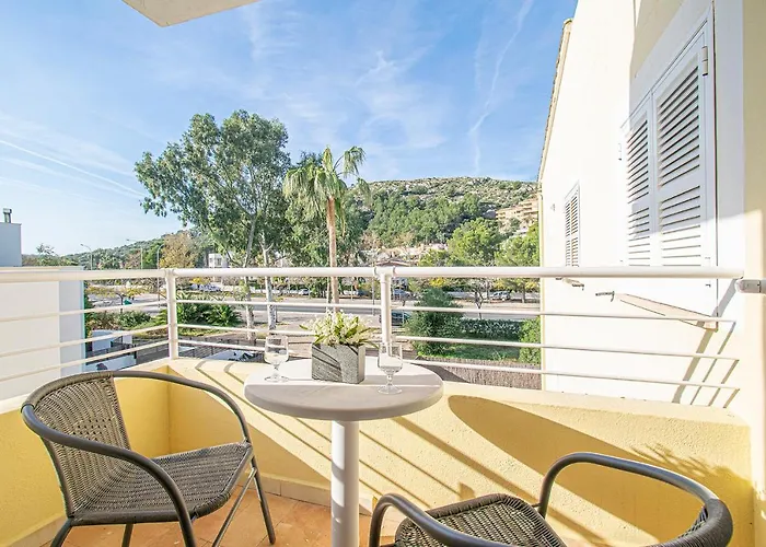 Falco Port de Pollença