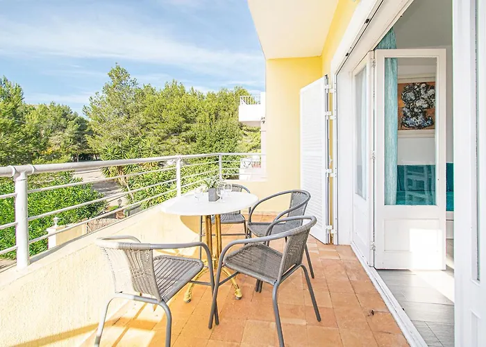 Falco Port de Pollença