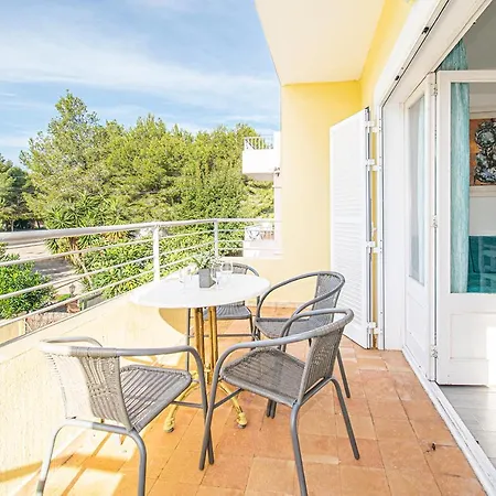 Falco Port de Pollenca