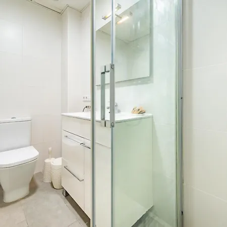 Falco Port de Pollenca