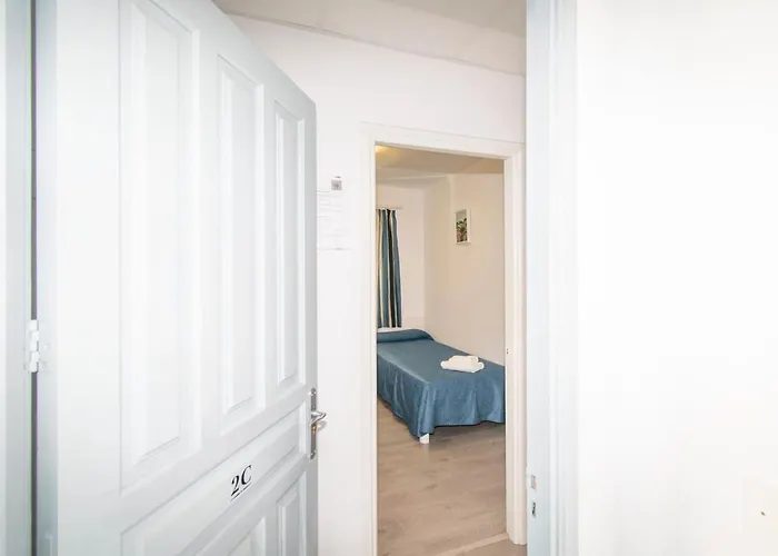 Falco Port de Pollença