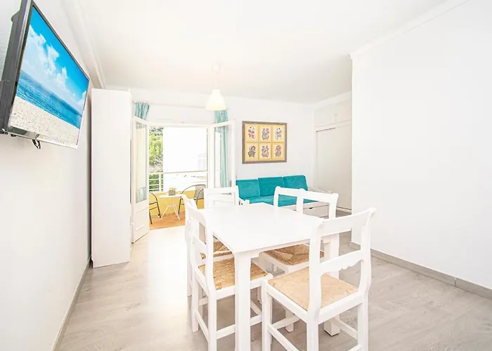 Falco Port de Pollença