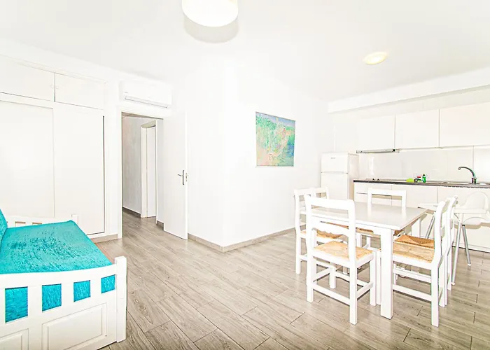 Falco Port de Pollença